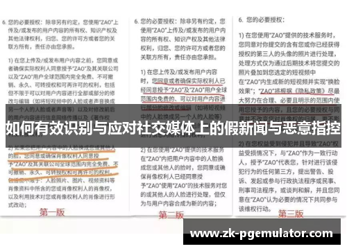 如何有效识别与应对社交媒体上的假新闻与恶意指控
